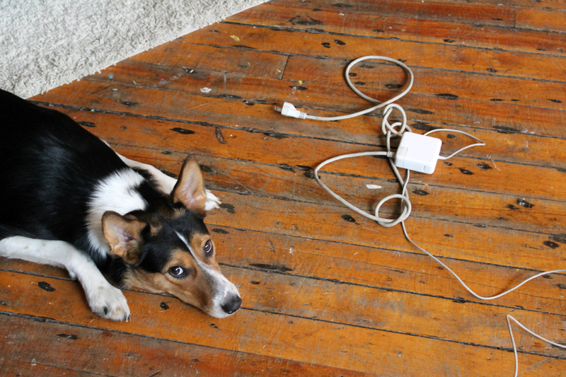 Illustration for article titled Your Busted Apple MagSafe Cords Power These Clever Lamps